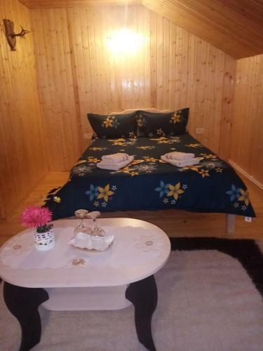 Hostal Casa Prundari Nicu ?i Mirela