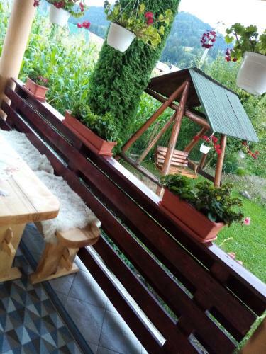 Hostal Casa Prundari Nicu ?i Mirela
