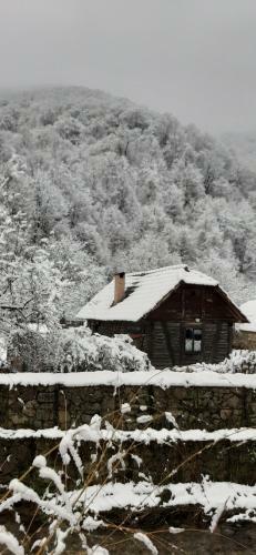 Casa Speran?a Din Poieni