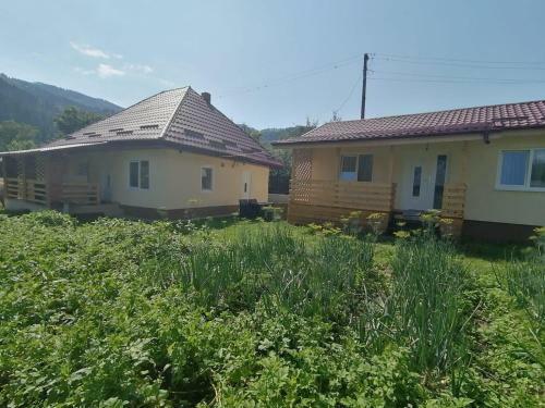 Cabanute Pitoresti Poiana Largului