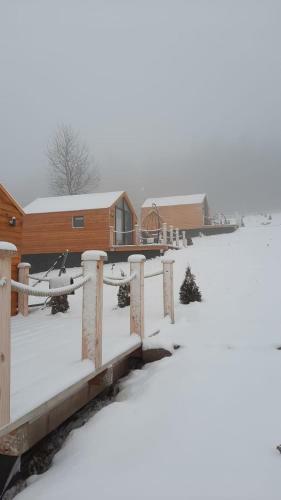 My Little Village