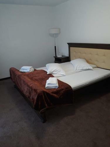 Hostal Pensiunea Teomir