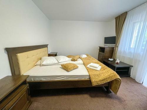 Hostal Pensiunea Teomir