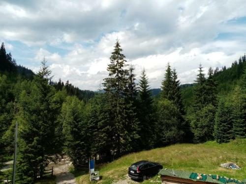 Hostal Pensiunea Gur? De Rai, Pojor�ta