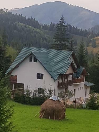 Hostal Pensiunea Gur? De Rai, Pojor�ta