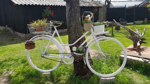 Agroturismo Pensiunea Miraj