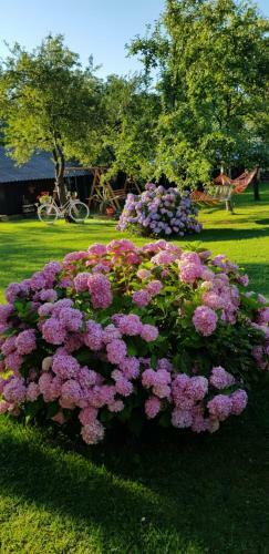 Agroturismo Pensiunea Miraj