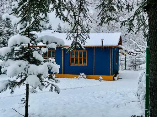 Montebello Cabin