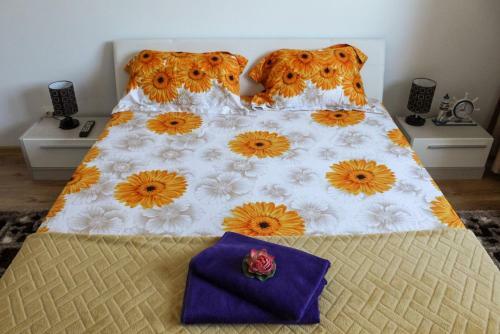 Apartament Mircea