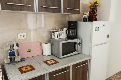 Apartament Mircea