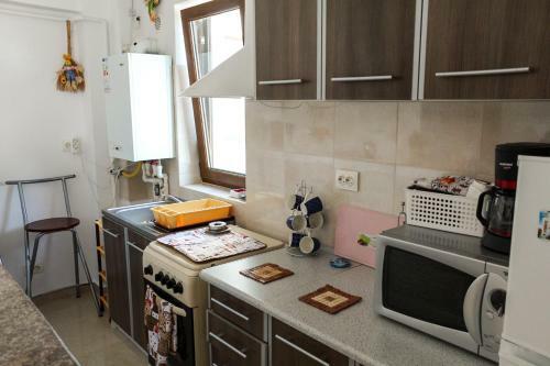 Apartament Mircea