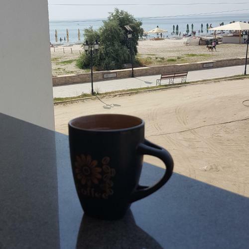 Apartament Papaya Beach-navodari