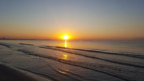 Apartament Papaya Beach-navodari