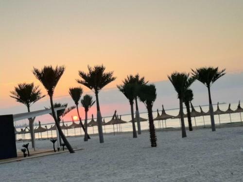 Apartamento Zev- Cataleya Mamaia Nord