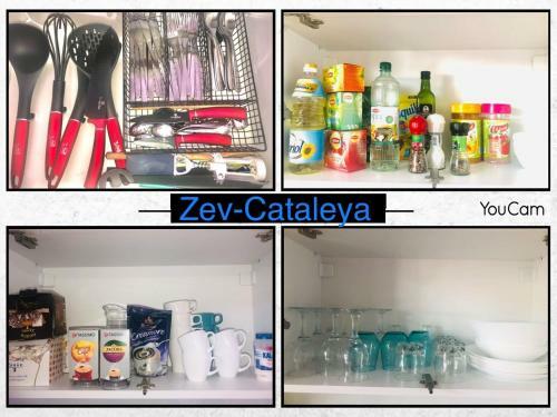 Apartamento Zev- Cataleya Mamaia Nord