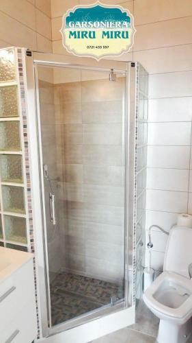 Apartamento Garsoniera Miru Miru