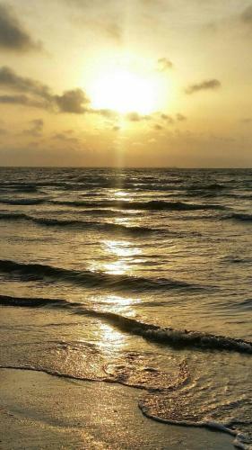 Apartamentos Sim Seaside T2