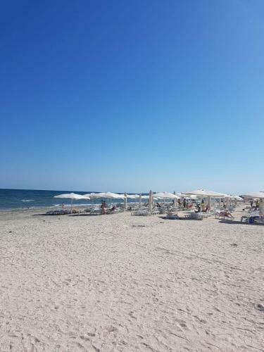 Mg Apartments Mamaia Nord