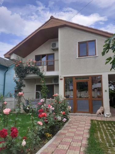 Hostal Vila Irina