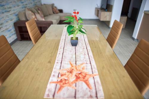 Sunny Apartments Alezzi Beach Resort