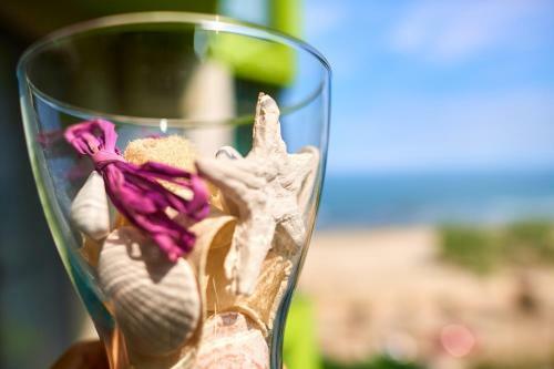 Sunny Apartments Alezzi Beach Resort