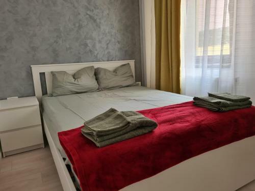 Apartament Cu Terasa