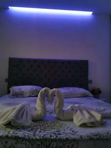 Apartament Briana