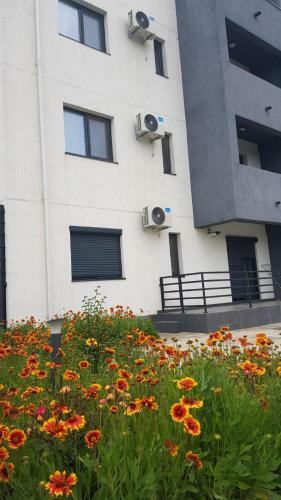 Apartament Karina