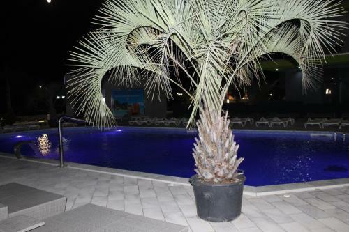 Apartamentos On Beach-mamaia Residence