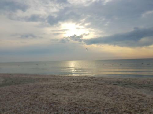 Apartament Alara Mamaia Nord