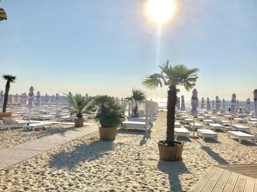 Apartamento Mamaia Nord
