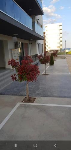 Mamaia Nord Apartament 18