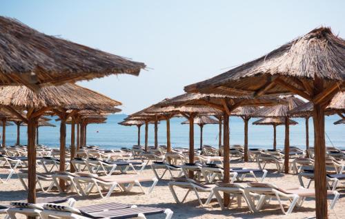 Mario Apartamente- Mamaia Nord - Alezzi