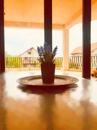 Hostal Breeze Villa Mamaia Nord