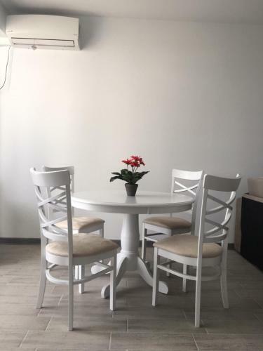 Umi Apartment Alezzi Resort