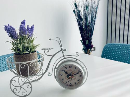 Apartamento David House Alezzi