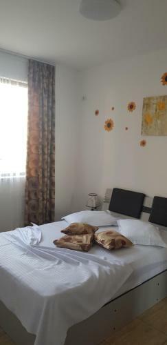 Apartament 2 Camere Playa Del Mar