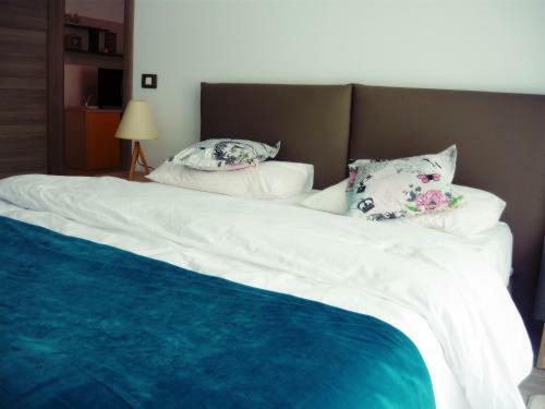 Apartament Blue Sky Alezzi