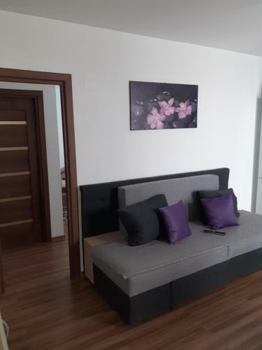 Apartament Amy