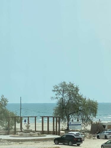 Apartament Orhideea Cristina