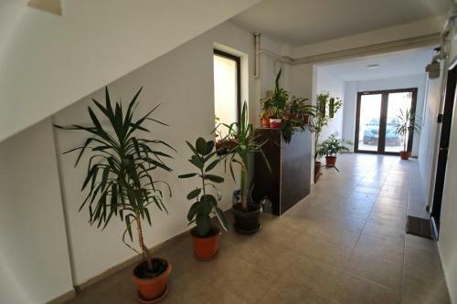 Apartament Ioan