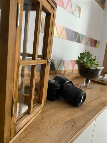 Apartamento My Space Alezzi