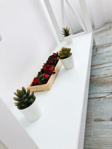One Aquarium Apartament