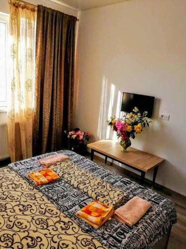 Apartament Hanul Piratilor