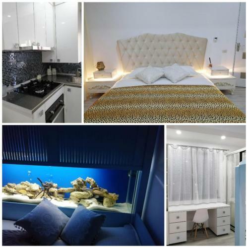 Nemo Apartment