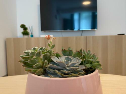 Deko Apartments Alezzi Beach Mamaia