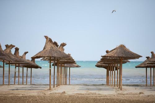 Deko Apartments Alezzi Beach Mamaia