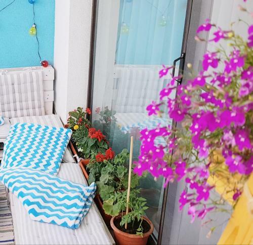 Apartamento Alesia Mamaia Nord