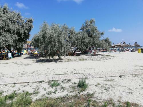 Apartamento Alina Studio Mamaia Nord