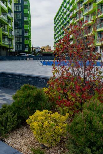 Apartament Hope